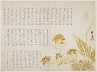 Rape blossom and wheat, 1854